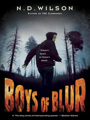 cover image of Boys of Blur